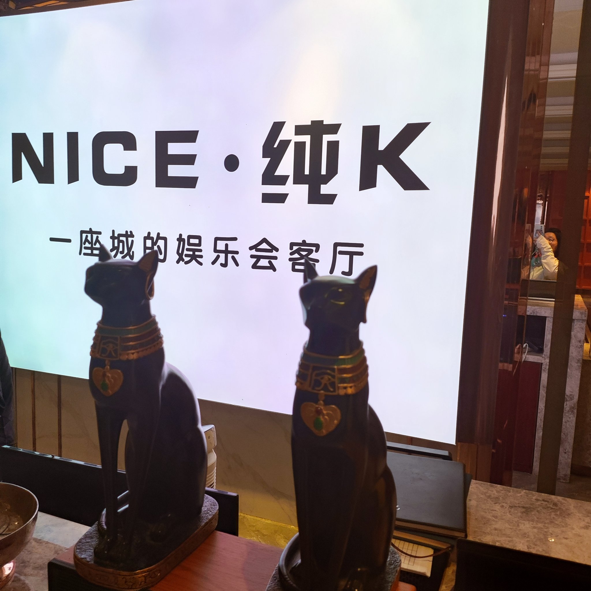 阜新商务ktv夜场，尽享商务精英魅力-彰武县ktv预订